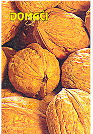 Sadnica — sorta Domaći
